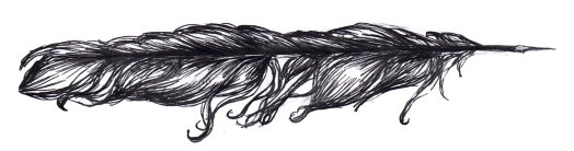 plume-copie.jpg