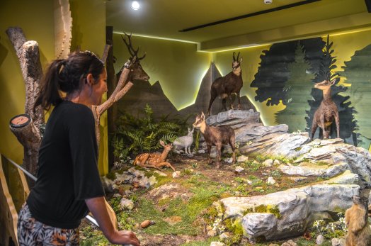 muse301eum-des-animaux-de-montagne-vallandry-ete-2022-a9infosnews-23.jpg