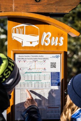Navettes - Bus - Mobilité Peisey-Vallandry @Elliot Gieu (4).jpg
