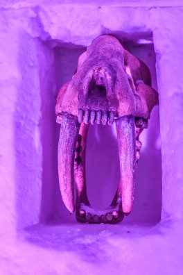 Igloo de Thorens - Val Thorens - HIVER 2023 ©Infosnews-13.jpg