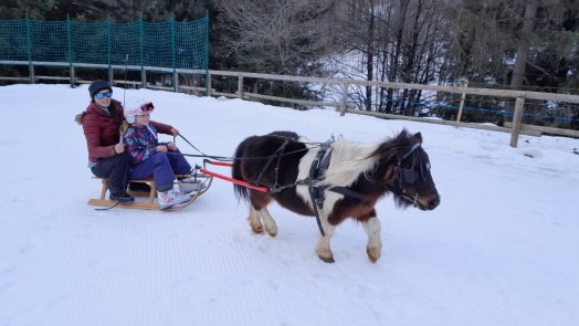 poney-luge