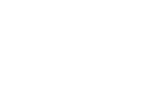 logo cheese zone +club VT blanc.png