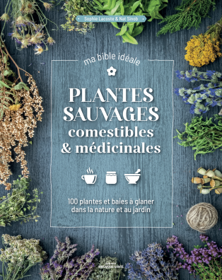 COUV_Plantes sauvages comestibles & médicinales-Ed-Mosaique-Sante-M-1.png
