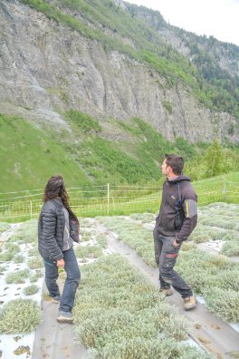 culture du genepi-bsm-été2023-©infosnews-33.jpg