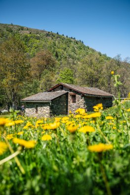 Moulin_de_Burdin-Vincent_LOTTENBERG-34958-1600px.JPG