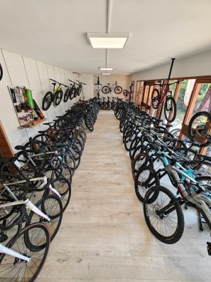 bike surgery 3.jpg