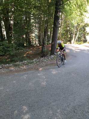 IMG_20220813_103153_1.jpg