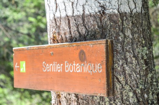 Balade découverte géologie et botanique - Courchevel Lac de la Rosière ETE 2022 ©Infosnews-19.jpg