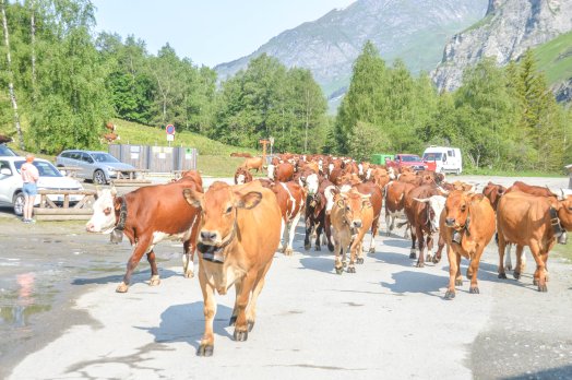 emmontagnee-plagne champagny-été2023-©infosnews-12.jpg