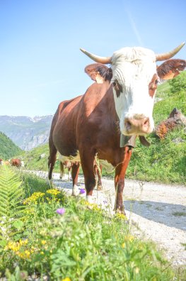 emmontagnee-plagne champagny-été2023-©infosnews-42.jpg