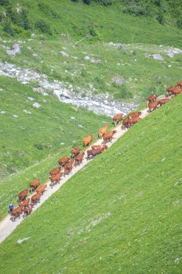 emmontagnee-plagne champagny-été2023-©infosnews-65.jpg