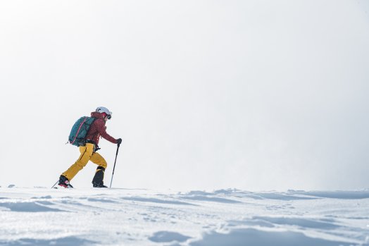 ski-de-rando-movement-ericgachet-8-63f678598f648624295064.jpeg