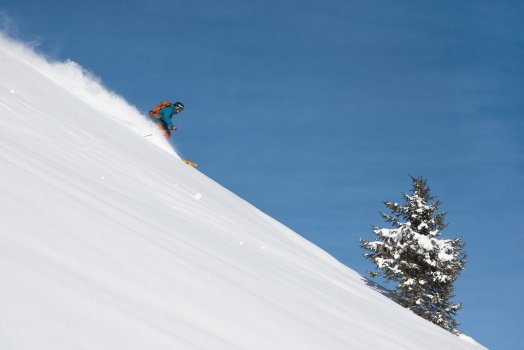 Freeride-David_ANDRE-14055.jpg