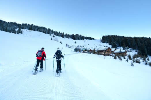 Refuge de la Traye Raquettes Hiver-2020 © Infosnews-36.jpg