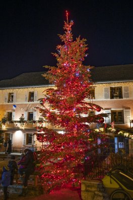 Illumination_sapin_de_Noel_2022-Alban_NAFFRECHOUX-35869.JPG