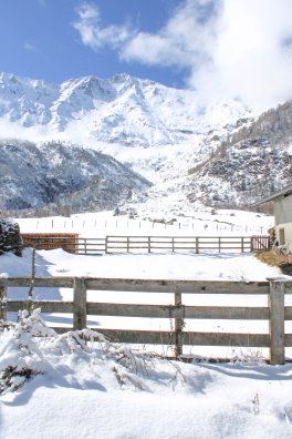 croq'rando-Peisey-Vallandry-hiver2023-©infosnews-14.jpg