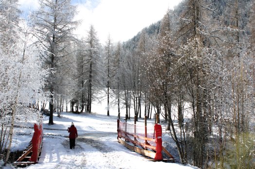 croq'rando-Peisey-Vallandry-hiver2023-©infosnews-3.jpg