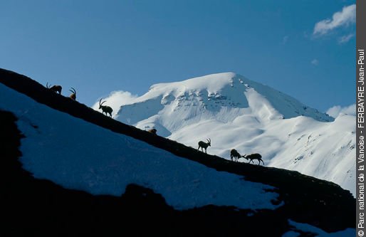 Divinités montagne.jpg
