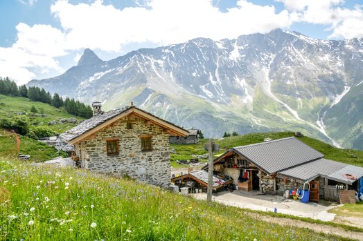 gaec-alpin-peisey-chalet-des-rossets-famille-poccard-peisey-vallandry-ete-2022-a9infosnews-86.jpg