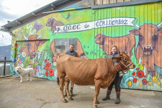 GAEC de Couterloz - Vache tarine - Notre-Dame-du-Pré - HIVER 2023 ©Infosnews-31.jpg