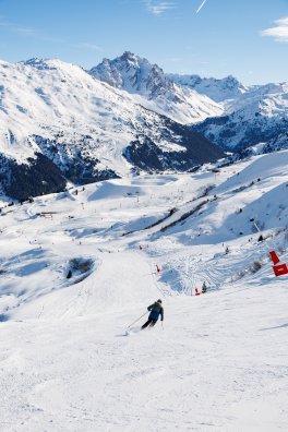 Roc de Fer©Sylvain AymozS&C16012417.jpg