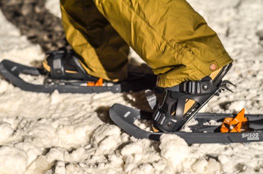 Balade en raquettes avec les rennes Peisey-Vallandry Hiver 2022 ©Infosnews-11.jpg