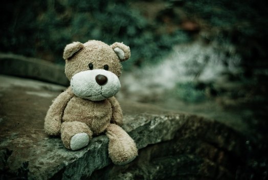 teddy-bear-1835598_1280.jpg