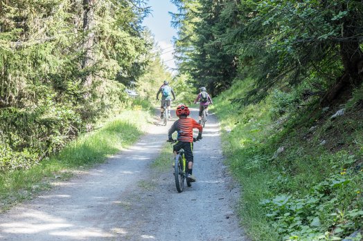VTT 79 ©Raj Bundhoo.jpg