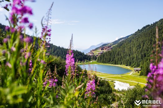 lac ©Sylvain Aymoz.jpg.jpg