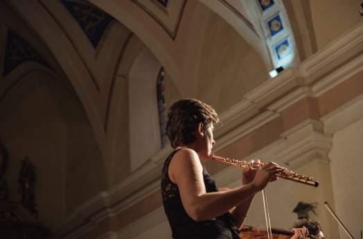 Concert_Quatuor_classique-Yann_ALLEGRE-20908.JPG