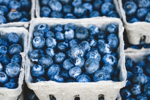blueberries-1326154.jpg