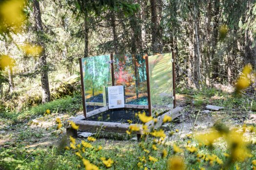 Sentier des contemplations-Courchevel-été2024-©infosnews-22.jpeg