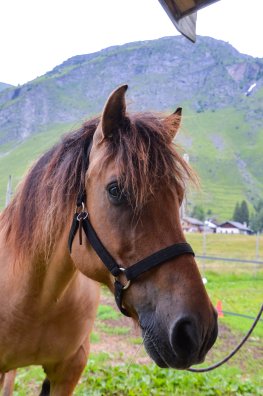 randonn‚e ‚questre nocturne - Le P'tit Ranch-CHAMPAGNY-‚t‚2024-¸infosnews-15.jpg