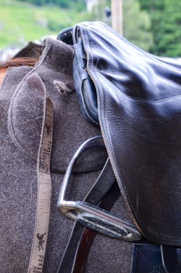 randonn‚e ‚questre nocturne - Le P'tit Ranch-CHAMPAGNY-‚t‚2024-¸infosnews-41.jpg