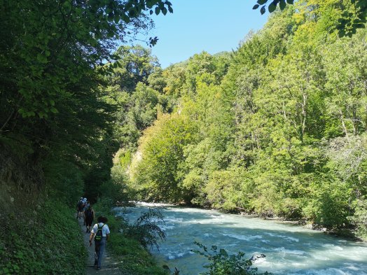 Salins Noémie_2.jpg