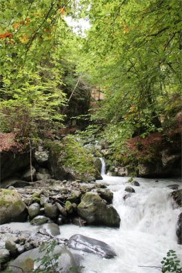 6944-bois-de-cythere-a-brides-les-bains-bois-de-cythere-a-brides-les-bains-fiche.jpg
