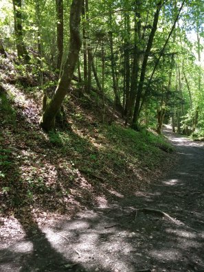 sentier de salins2.jpg