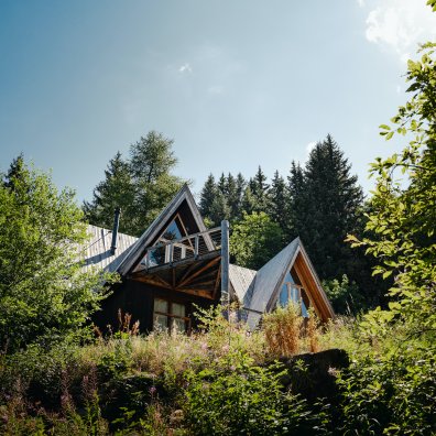 chalets pointus - c Yann ALLEGRE.jpg