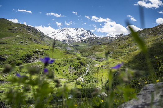 Vue_de_la_vallee-Maximilien_BREE-36272.JPG