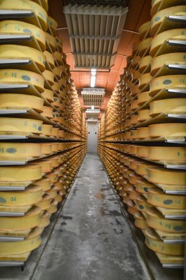 portes ouvertes coop-Moutiers-été2024-©infosnews-31.jpg