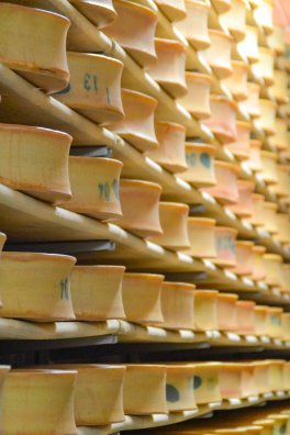 portes ouvertes coop-Moutiers-été2024-©infosnews-38.jpg