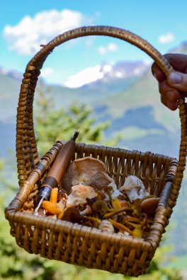champignons Laurence Bourgeois-Les Arcs-été2024-©infosnews-117.jpg