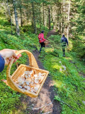 champignons Laurence Bourgeois-Les Arcs-été2024-©infosnews-98.jpg