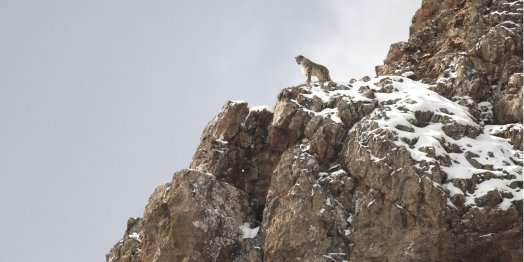 ©Haut et Corut.jpg