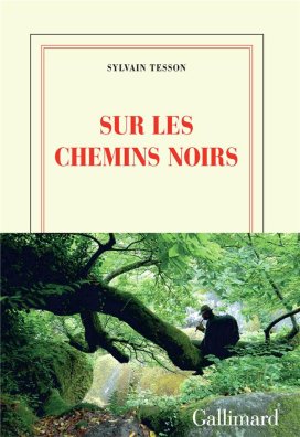 sur les chemins noirs.jpg