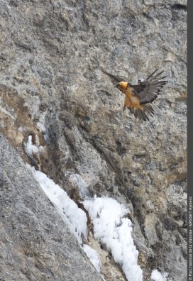 3pnv030227-PN-Vanoise-MASSET_Aymeric-900px.JPG