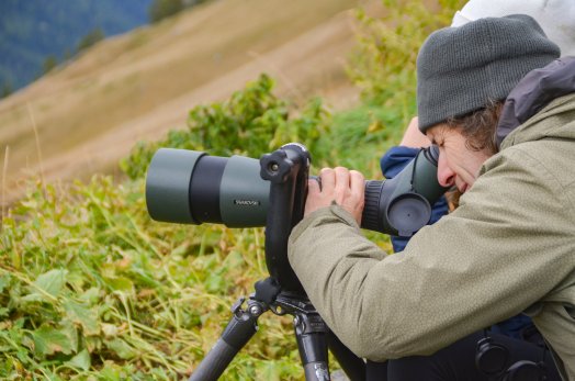 observation photo gypaete - Jean-Luc Danis - PEISEY-hiver2025-ļinfosnews-118.jpg