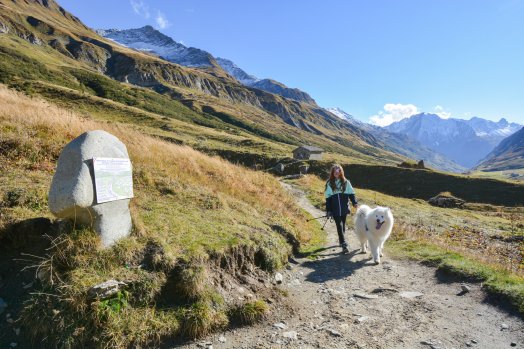 Vallée des Chappieux-BSM-hiver2025-©infosnews-20.jpg