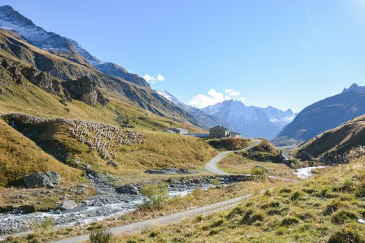 Vallée des Chappieux-BSM-hiver2025-©infosnews-29.jpg