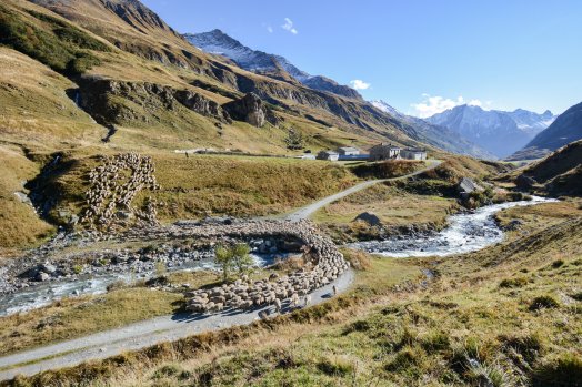 Vallée des Chappieux-BSM-hiver2025-©infosnews-33.jpg